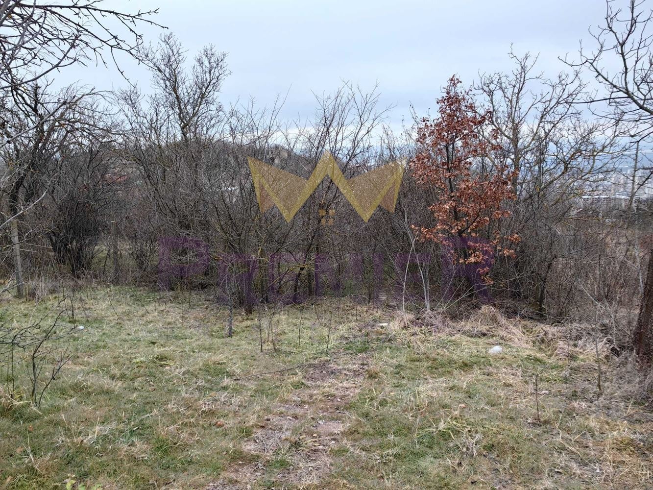 Продава ПАРЦЕЛ, гр. Варна, м-т Сълзица, снимка 3 - Парцели - 53676287