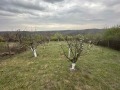 Продава ПАРЦЕЛ, с. Николово, област Русе, снимка 1