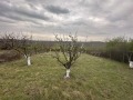 Продава ПАРЦЕЛ, с. Николово, област Русе, снимка 2