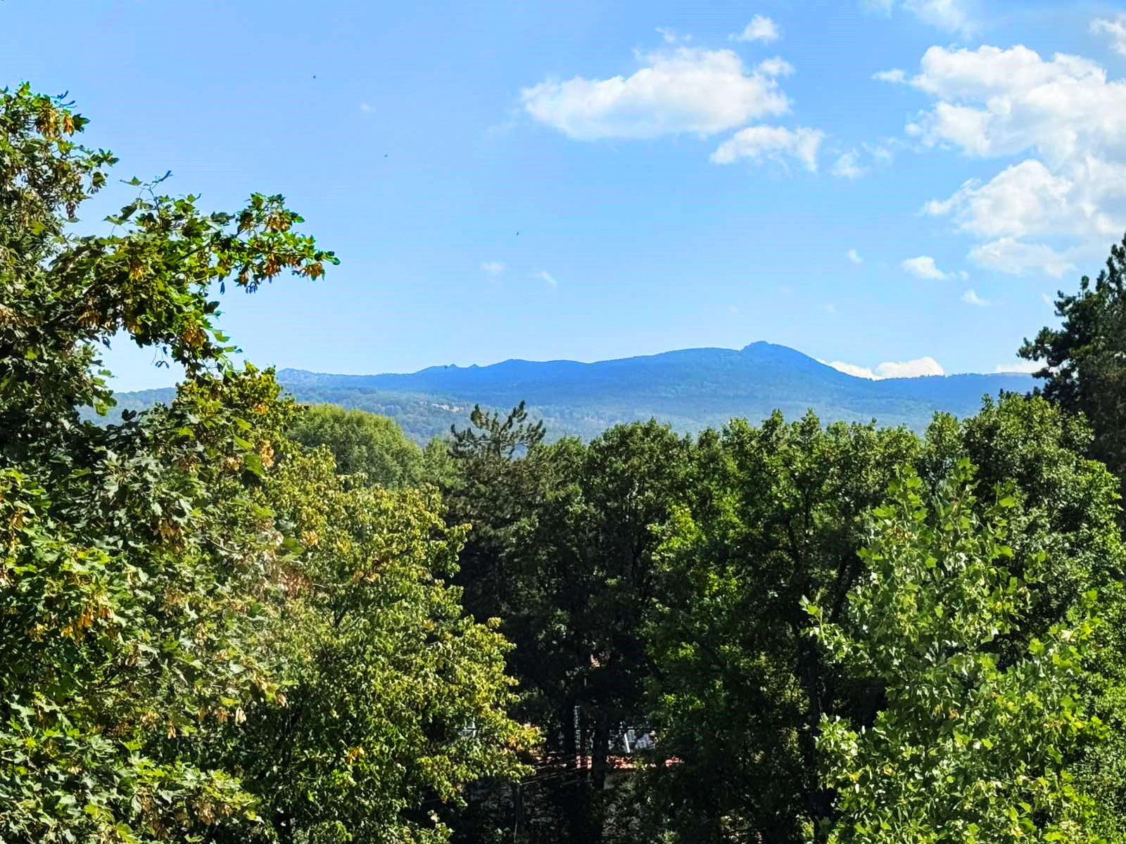 ������� ���� | Imot.bg � ����������� 4