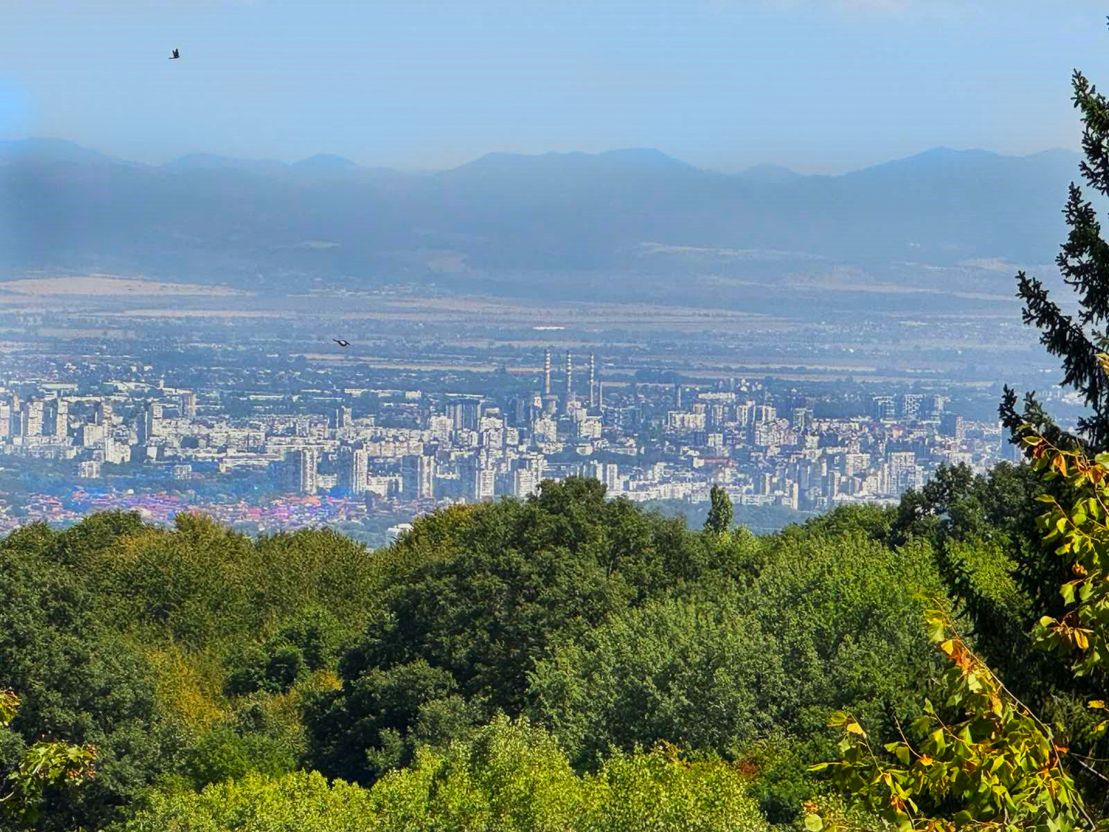 ������� ���� | Imot.bg � ����������� 3