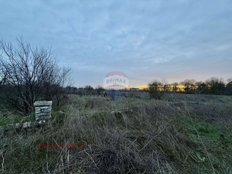 Продава ПАРЦЕЛ, с. Топола, област Добрич, снимка 5 - Парцели - 52776566