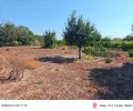 Продава КЪЩА, гр. Тервел, област Добрич, снимка 7