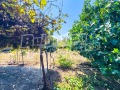Продава КЪЩА, с. Казашка река, област Варна, снимка 16