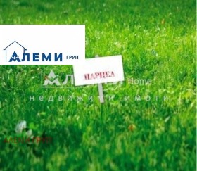 ������ ������� ������