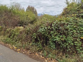 ������� ������ | Imot.bg � ����� ������ 4