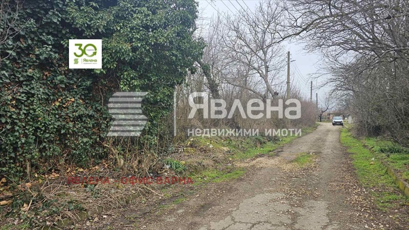 Продава КЪЩА, с. Николаевка, област Варна, снимка 6 - Къщи - 53804625