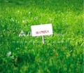 Продава ПАРЦЕЛ, град Варна, м-т Зеленика • 182500 € / 356938.97 лв. • 18511138 1