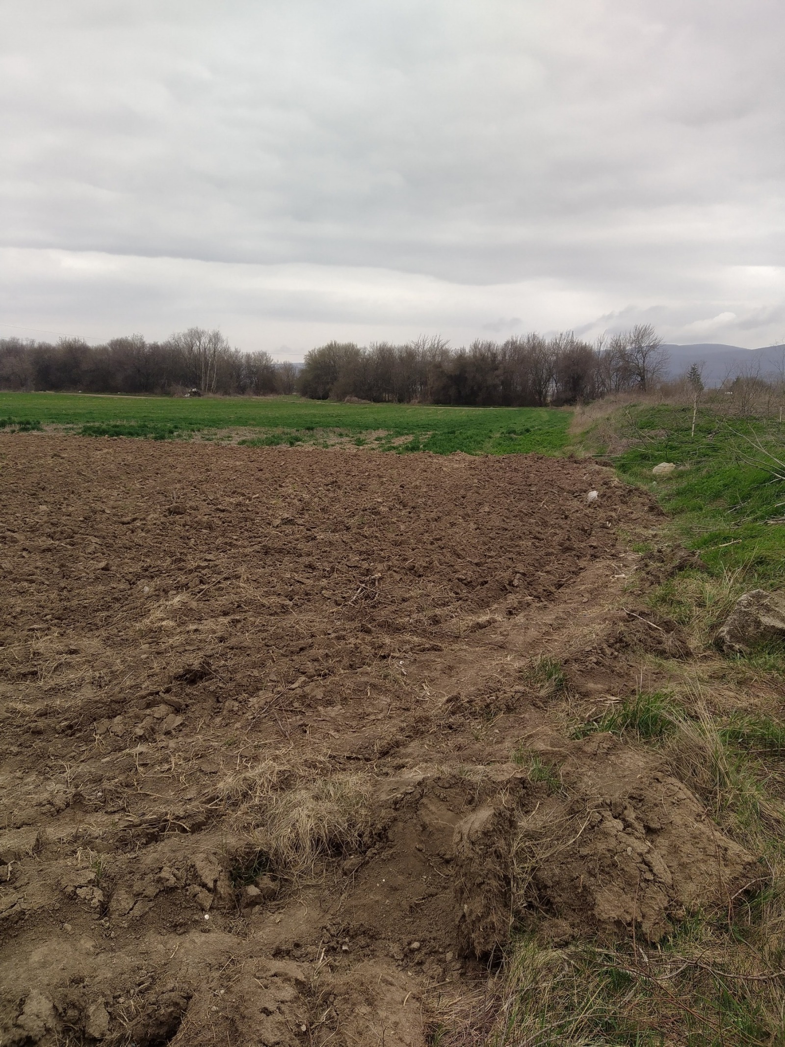 ������� ������ | Imot.bg � ����������� 3