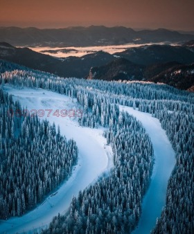 ������� ������ | Imot.bg � ����� ������ 10