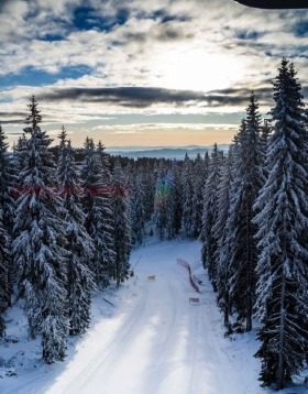 ������� ������ | Imot.bg � ����� ������ 9