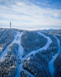 Продава ПАРЦЕЛ, к.к. Пампорово, област Смолян, снимка 7