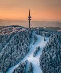 Продава ПАРЦЕЛ, к.к. Пампорово, област Смолян, снимка 11
