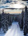 Продава ПАРЦЕЛ, к.к. Пампорово, област Смолян, снимка 9