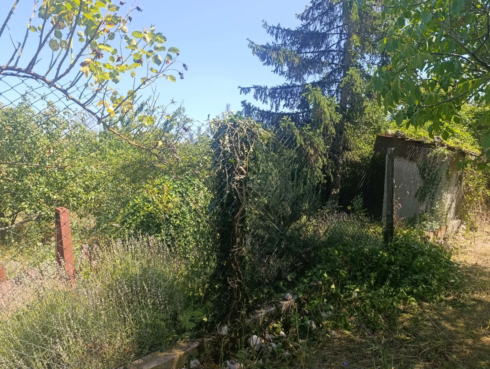 ������� ������ | Imot.bg � ����������� 9