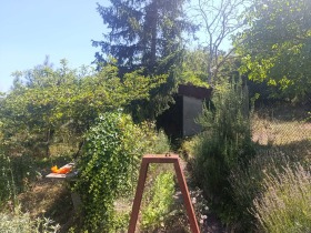 ������� ������ | Imot.bg � ����� ������ 10