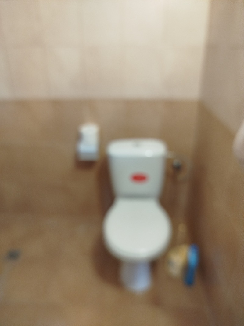 Προς πώληση  σπίτι περιοχή Πλέβεν , Γραδηνα , 54 τ.μ | 46790961 - εικόνα [10]