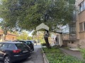 Продава 3-СТАЕН, гр. София, Свобода, снимка 13