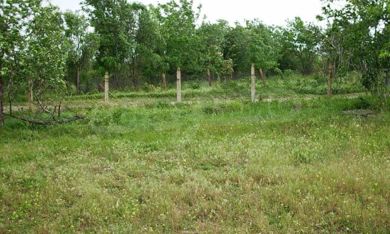 Продава ПАРЦЕЛ в област Ямбол, гр. Елхово - 10670 кв.м / 12 000 € » 23 469.96 лв., СУПРИММО ОФИСИ В СТРАНАТА