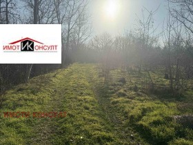 Plot Samovodene, region Veliko Tarnovo 1