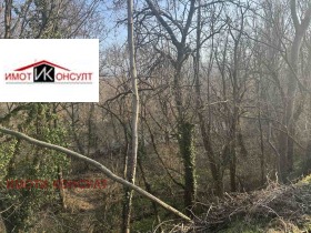 Plot Samovodene, region Veliko Tarnovo 4