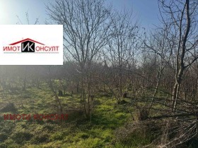 Plot Samovodene, region Veliko Tarnovo 3