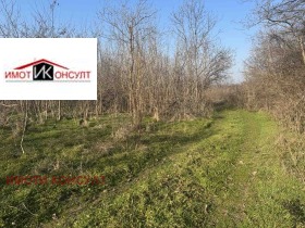 Plot Samovodene, region Veliko Tarnovo 5