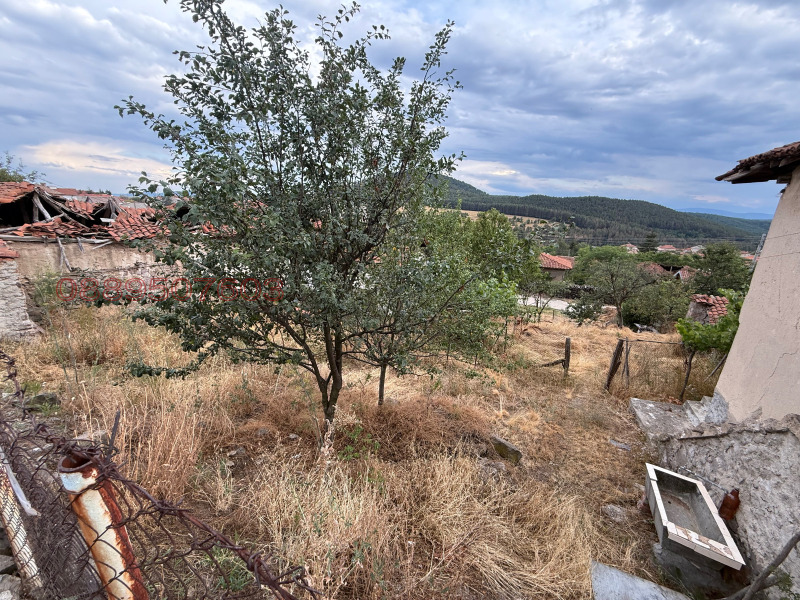 Продава ПАРЦЕЛ, с. Оборище, област Пазарджик, снимка 2 - Парцели - 53025101