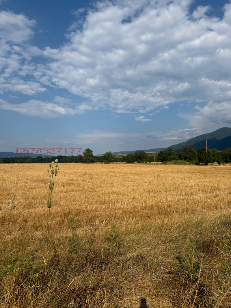 Продава ЗЕМЕДЕЛСКА ЗЕМЯ, с. Ресилово, област Кюстендил