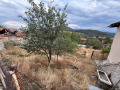 Продава ПАРЦЕЛ, с. Оборище, област Пазарджик, снимка 2
