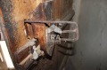 Продава КЪЩА, област Ловеч, с. Българене • 31960 лв. • 20847505 — Holmes.bg