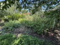 Продава КЪЩА, област Пловдив, с. Нови извор • 87999 € • 37024120 — Holmes.bg