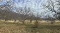 Продава ЗЕМЕДЕЛСКА ЗЕМЯ, с. Кърнаре, област Пловдив, снимка 2