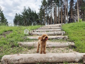  3- | Imot.bg    7