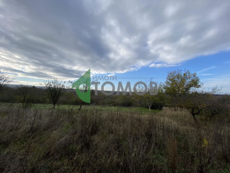 Продава ПАРЦЕЛ, с. Кюлевча, област Шумен, снимка 2 - Парцели - 52386492