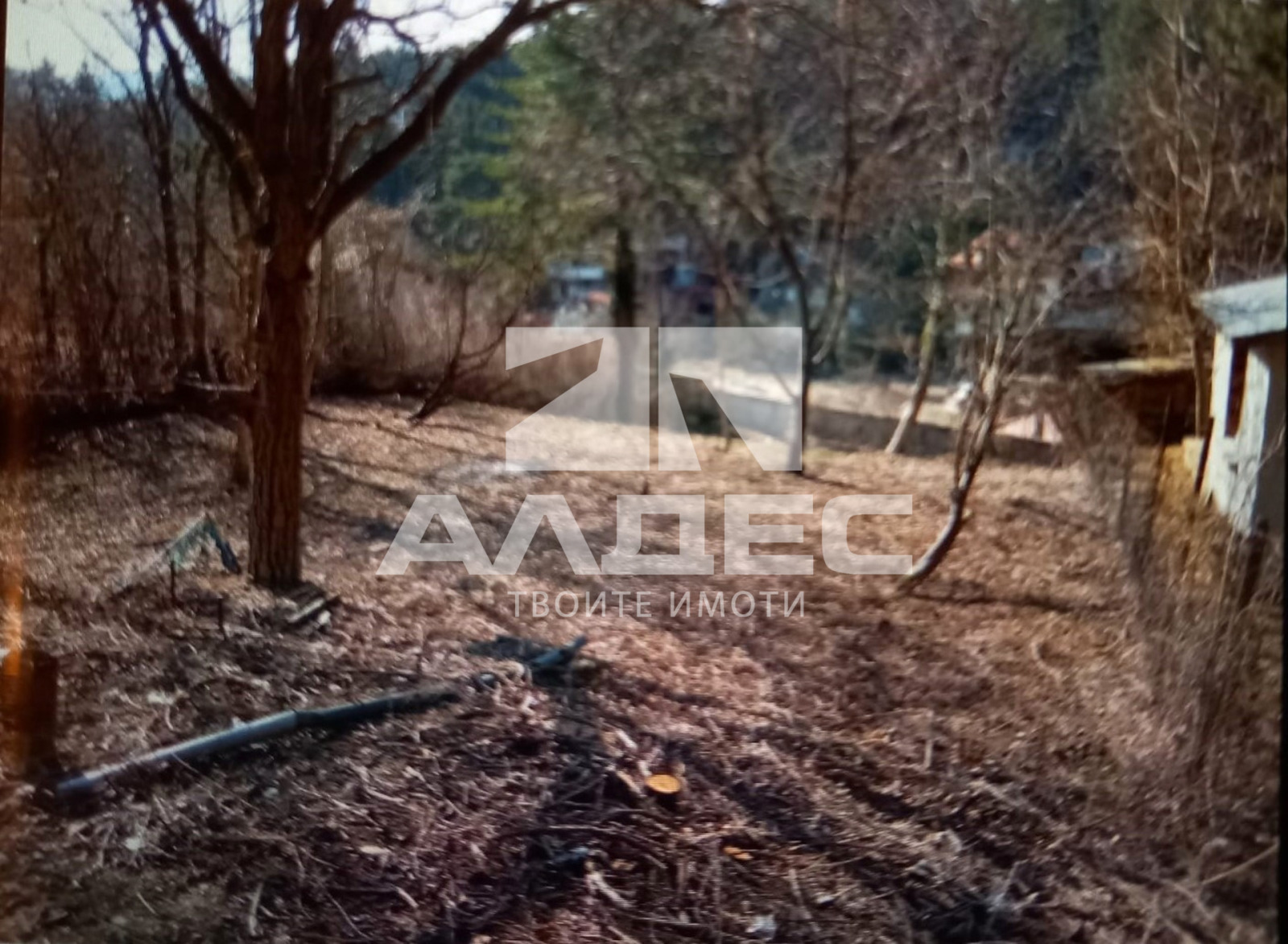 ������� ������ | Imot.bg � ����������� 12