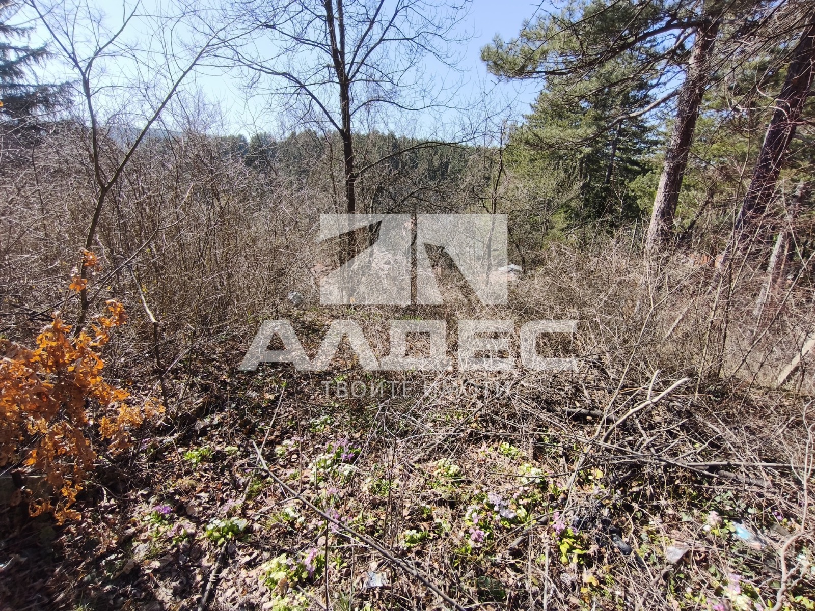 ������� ������ | Imot.bg � ����������� 7