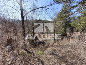 ������� ������ | Imot.bg � ����� ������ 6