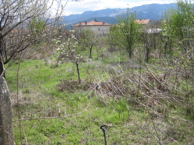 Продава  Къща област Пазарджик , с. Аканджиево , 40 кв.м | 74372408 - изображение [3]