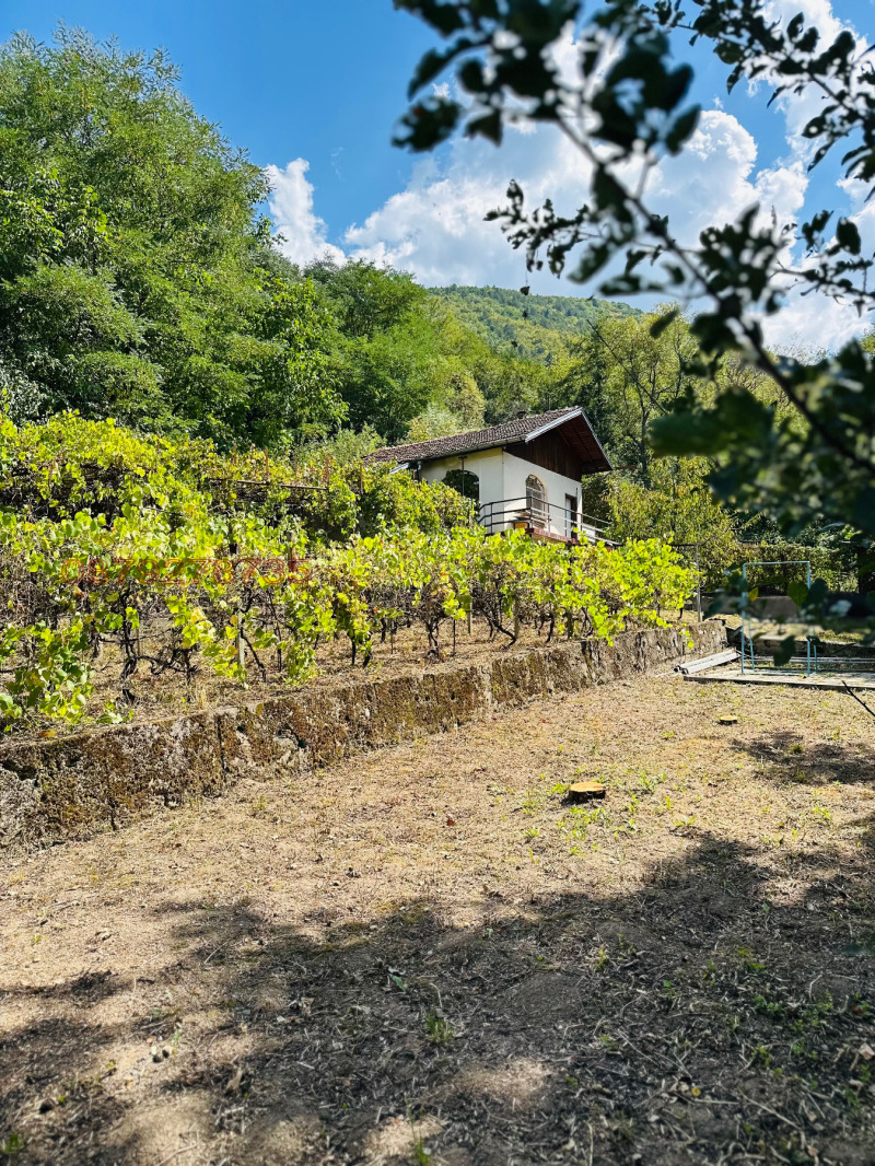 Продава ВИЛА, с. Самораново, област Кюстендил, снимка 8 - Вили - 52783573