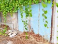 Продава  Къща област Хасково , с. Ябълково , 120 кв.м | 30279485 - изображение [2]