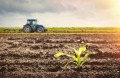 Продава  Земеделска земя област Пловдив , гр. Хисаря , 4.909 дка | 86081100