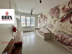 ����� ������� 2-�����,���� ����, ����������