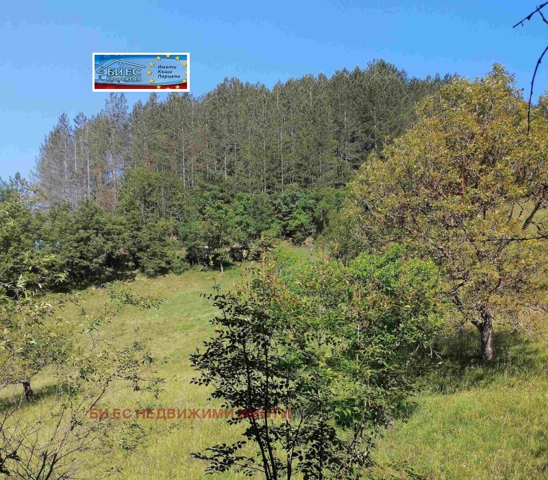 Продава КЪЩА, с. Филиповци, област Перник, снимка 13 - Къщи - 52352749