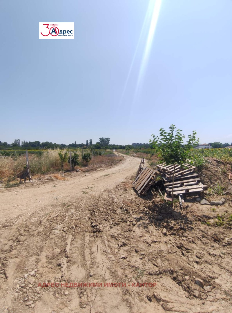 In vendita  Complotto Pazardgik , Ustrem , 4245 mq | 73414170 - Immagine [2]