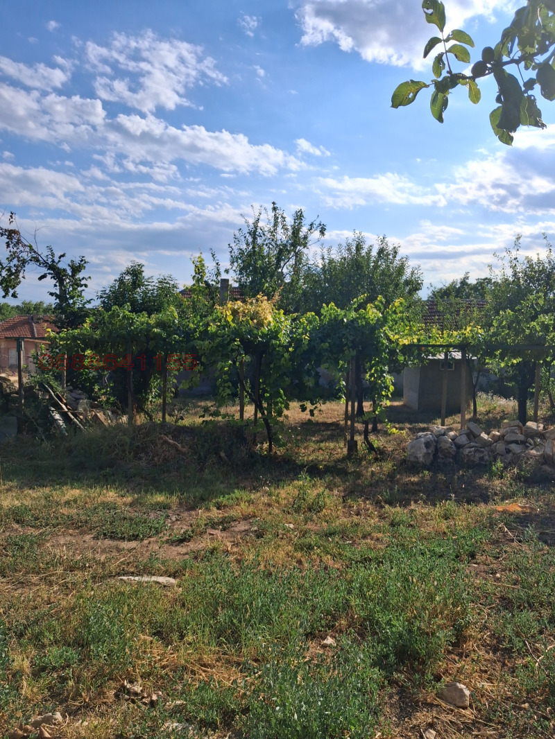 Продава ПАРЦЕЛ, с. Тодорово, област Плевен, снимка 5 - Парцели - 52933552