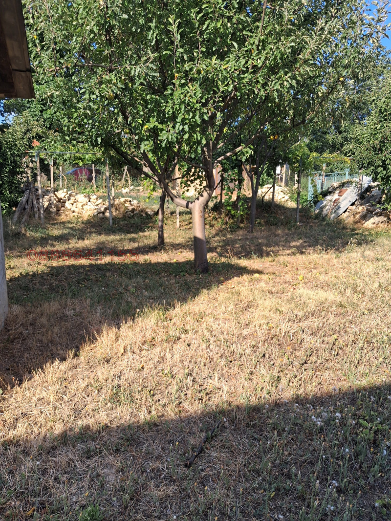 Продава ПАРЦЕЛ, с. Тодорово, област Плевен, снимка 2 - Парцели - 52933552