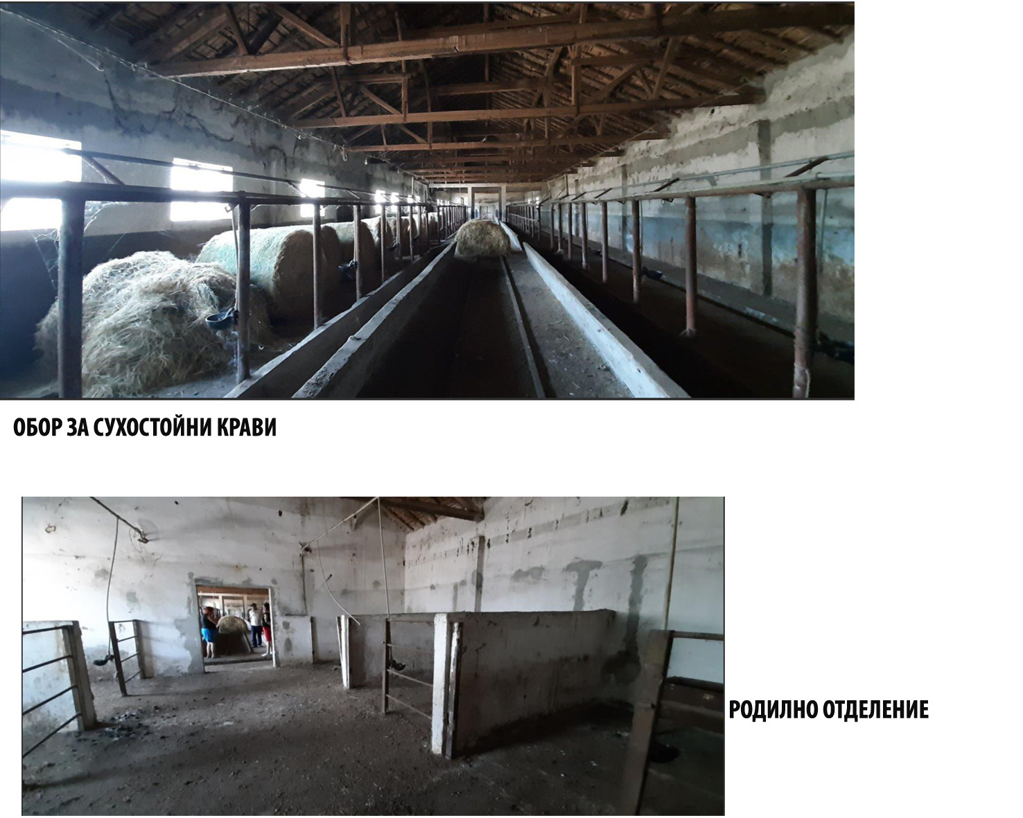 Продава БИЗНЕС ИМОТ, с. Събрано, област Сливен, снимка 4 - Други - 53882308