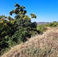 Продава ПАРЦЕЛ, гр. Стара Загора, Железник - изток, снимка 2