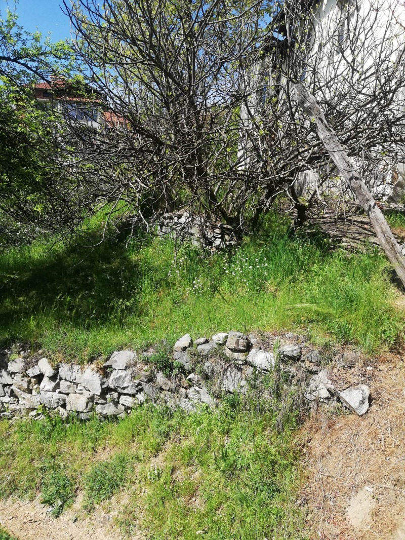 Продава ПАРЦЕЛ, гр. Неделино, област Смолян, снимка 11 - Парцели - 53125486